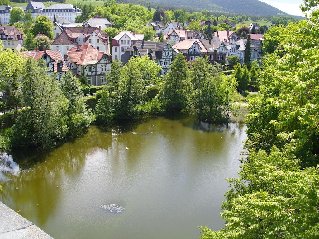 Ferienwohnungen Burg Im Zwinger Goslar Ngoại thất bức ảnh